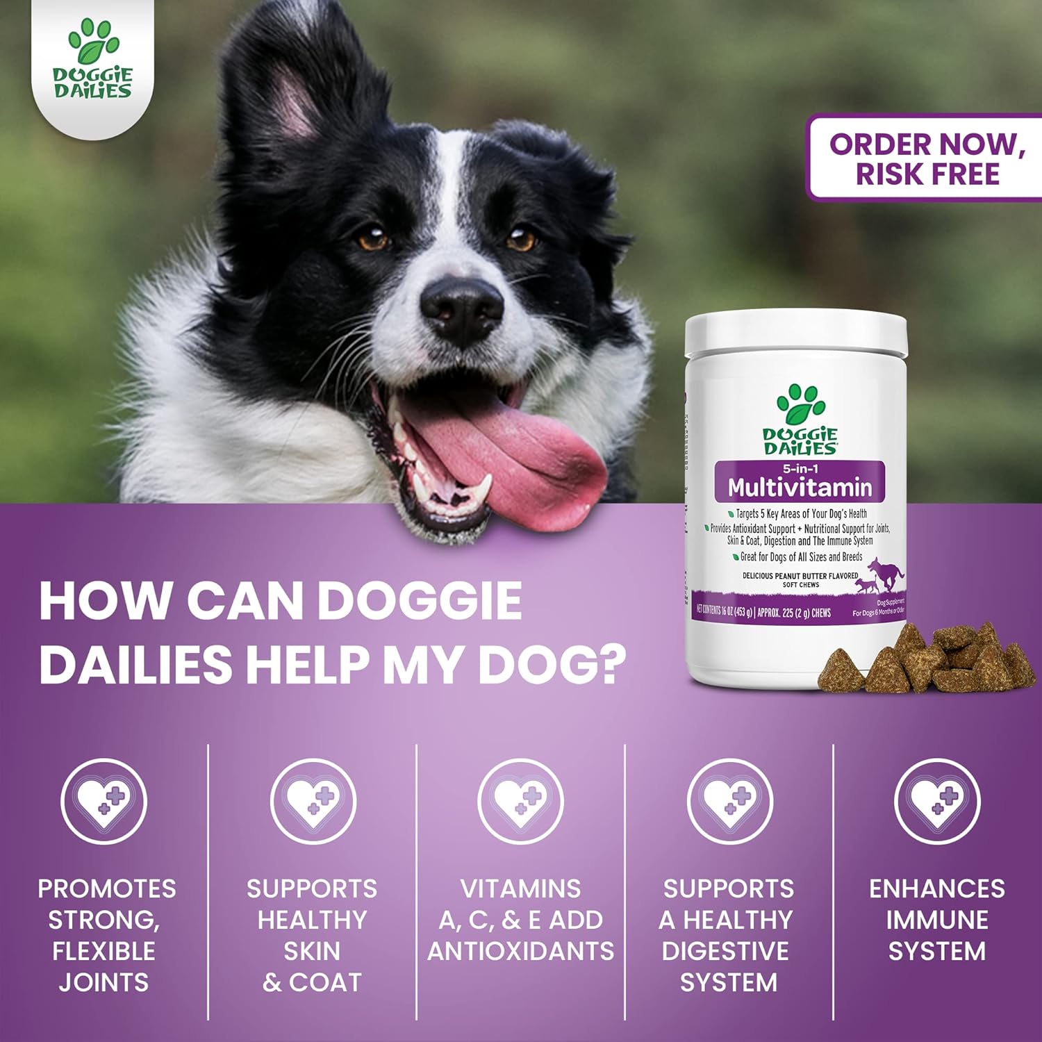 Buy Doggie Dailies 5 in 1 Multivitamin for Dogs, 225 Soft Chews, Dog