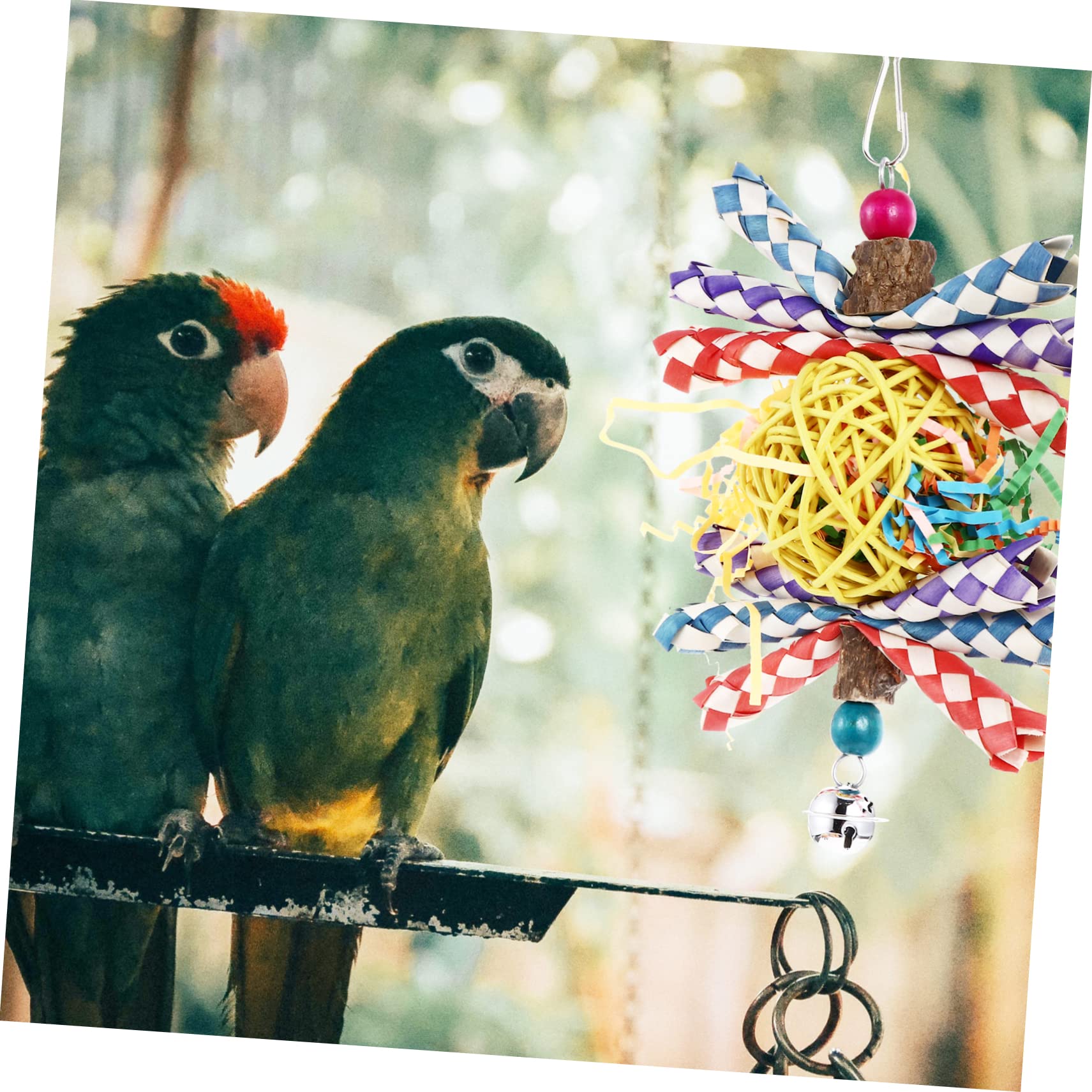 Housoutil 3pièces Jouet à Mâcher pour Perroquets Accessoire Durable Et Amusant pour Oiseaux De Compagnie Stimule Le Jeu Santé des Oiseaux