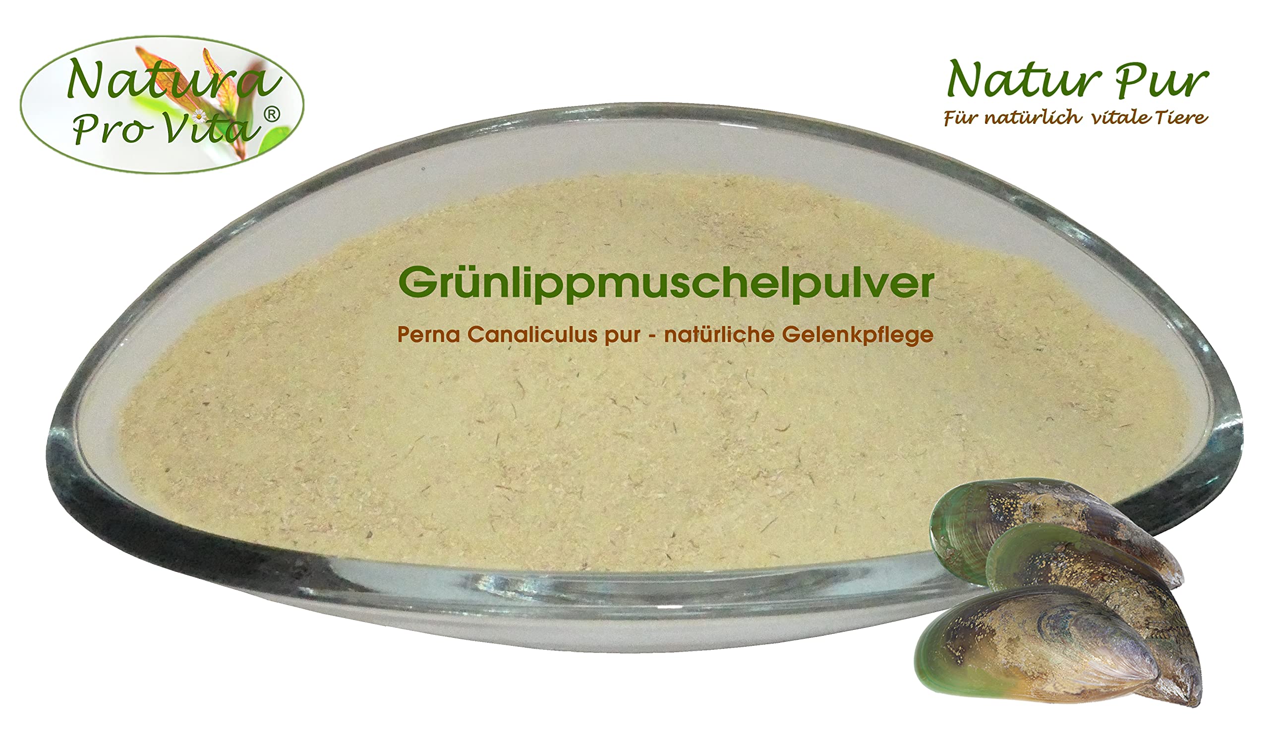 Grünlippmuschelpulver Katze gut für Knochen Gelenke Sehnen Haut Fell Natur pur Top Qualität natürliche Taurinquelle reines Grünlippmuschelpulver Glycosaminoglycane (Gag) hohe Bioverfügbarkeit 100g