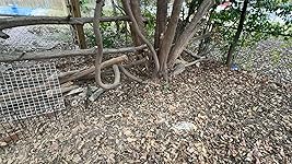 Review Image by Bezli Bezli