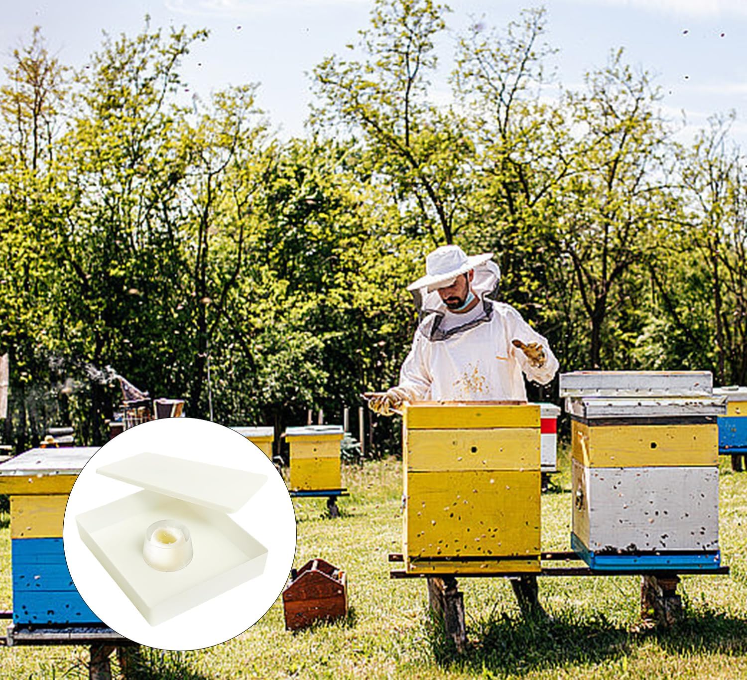 All Season Bees Feeder Fit for 10 Frame Langstroth Hives 1.5 Gallon Capacity Splashproof ABS Construction Anti Drowning Square Bees Feeder