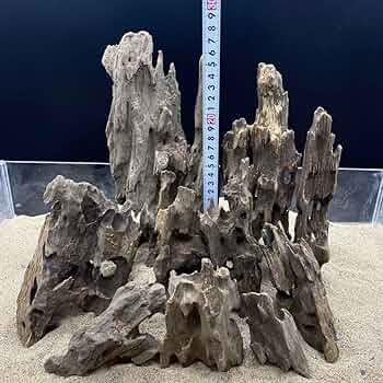 MMW-5568 マシンガンウッド8本まとめ売り　流木セット　シュリンプ飼育に MMW-5653 マシンガンウッド 流木セット シュリンプ飼育に