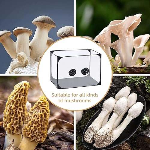 Miniatura 4 de Watayo Caja de aire de 355 x 235 x 235 pulgadas caja de aire para cultivo de hongos kit de tienda de campaña portátil para cultivo de hongos para