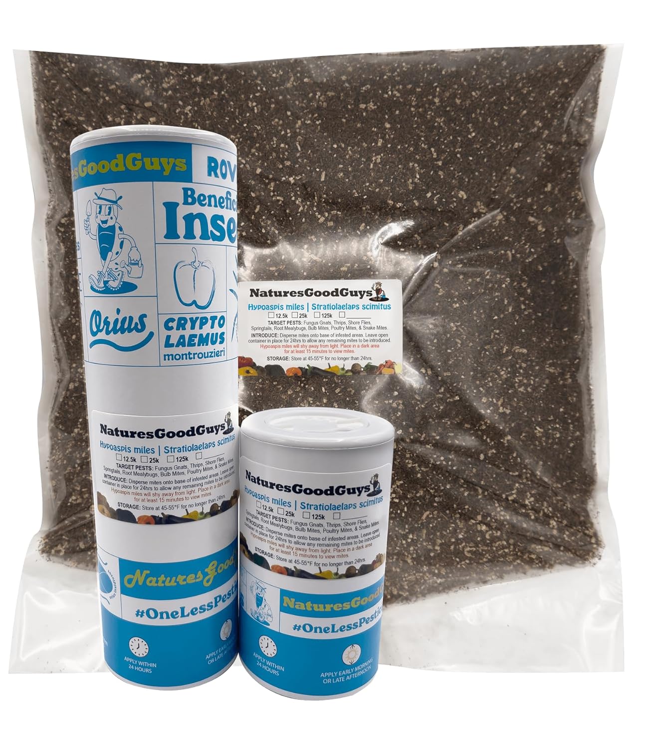 125,000 Live Hypoaspis Miles (Stratiolaelaps scimitus) Ships Next Day!