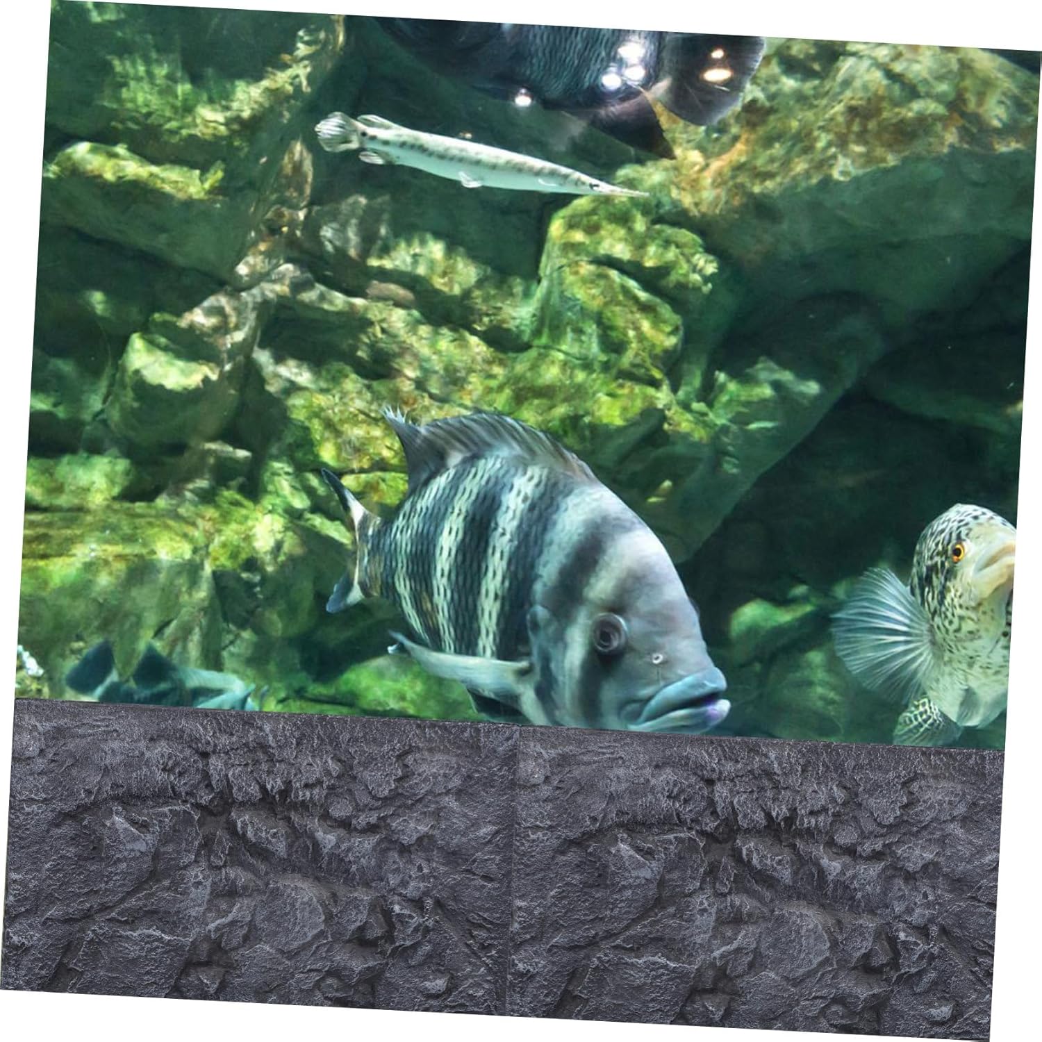 SUPVOX Decorative Background Board for Aquariums Realistic Simulation Fish Tank Wall Decor and Textured Reptile and Fish Tank Backdrop Various