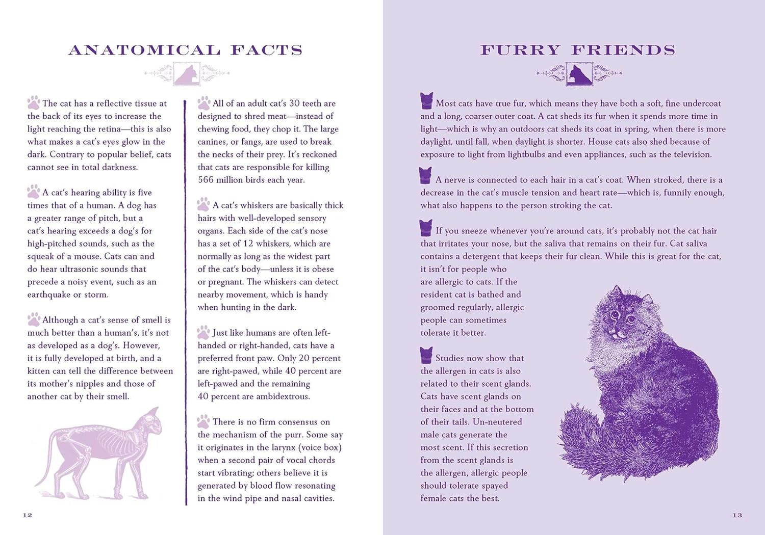 Little Book of Lore for Cat Lovers: A Complete Curiosity of Feline Facts, Myths, and History - Image 5
