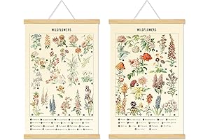 Floral Wall Hanging Botanic Art Wall Decor