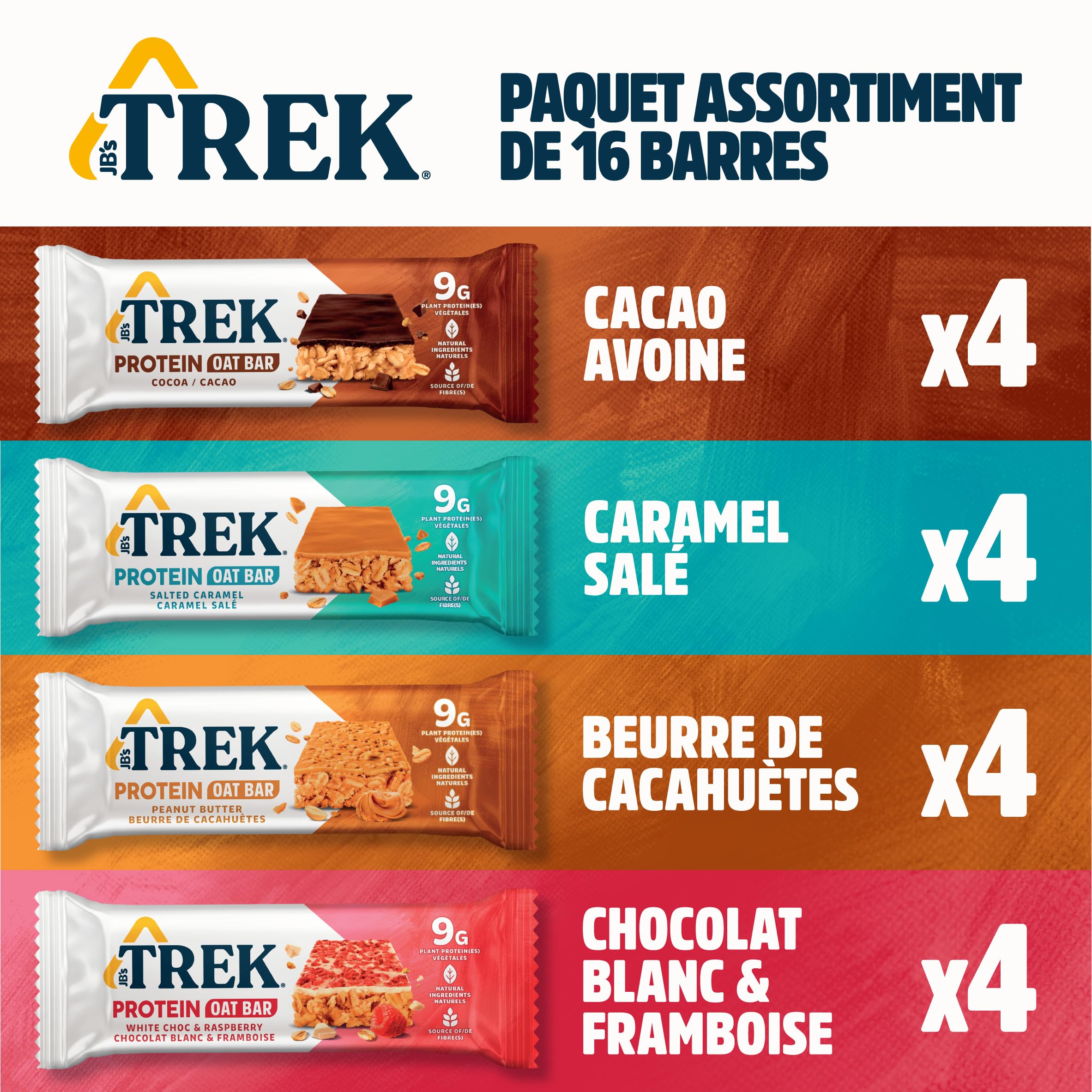 JB's TREK Barres d'Avoine Protéinées | Paquet Assortiment | Protéine Végétale | Sans Gluten | 16 x 50g Barres | 800g