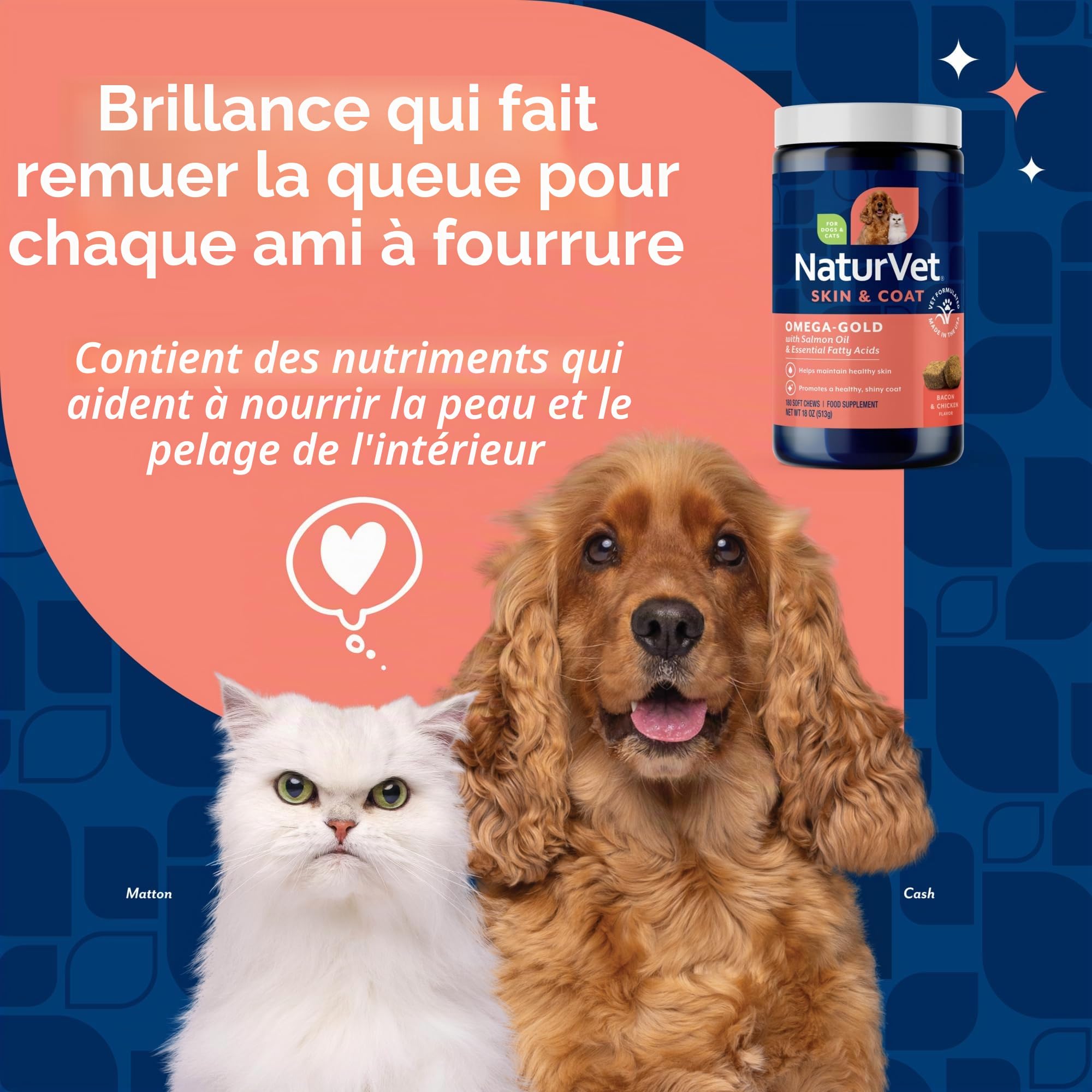 Omega Gold Complément alimentaire peau et pelage pour chiens – Huile de saumon avec acides gras oméga-3 et oméga-6, DHA et EPA pour une peau saine, un pelage brillant, une santé des articulations et