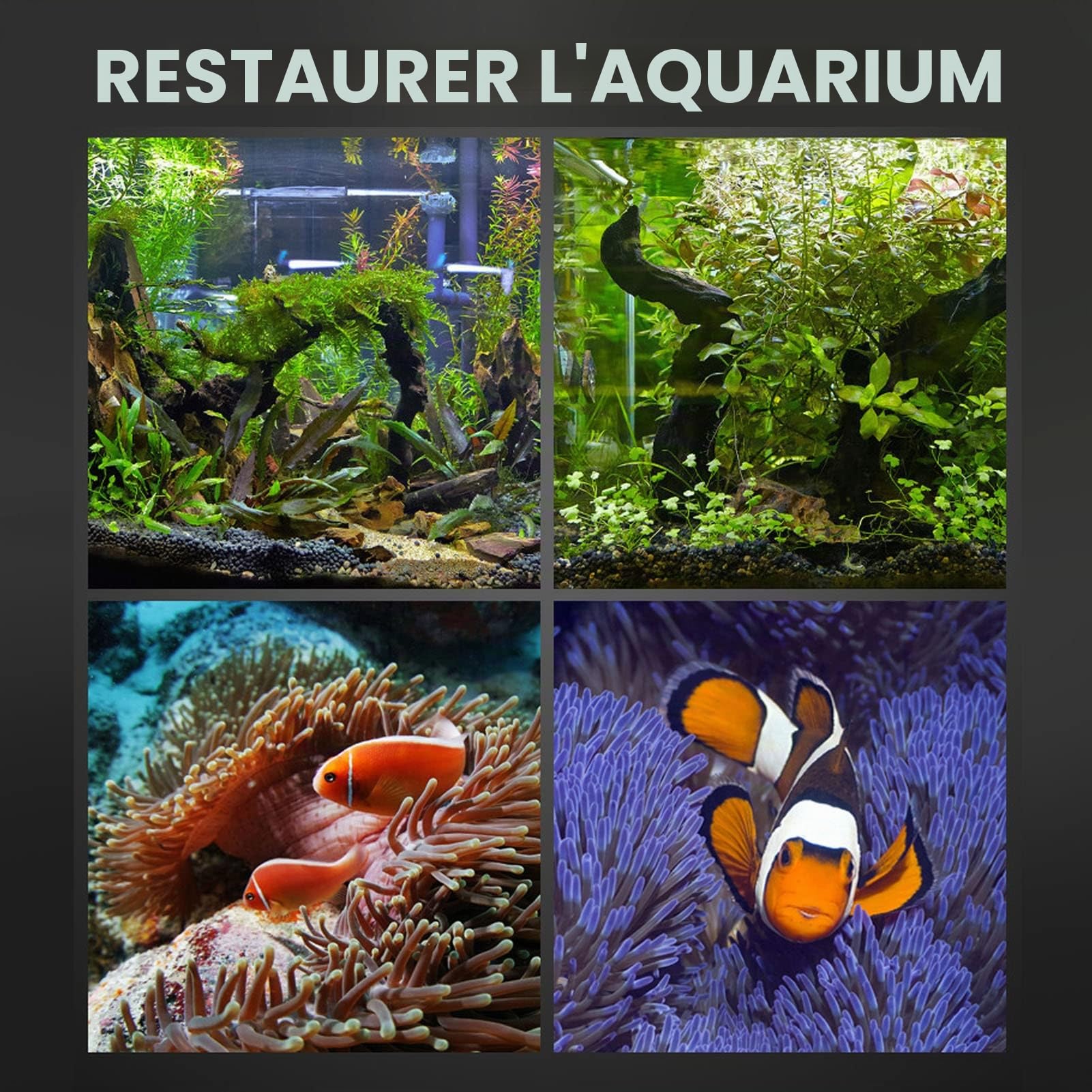 flexman Lampe suspendue pour aquarium, lumière LED COB haute luminosité à spectre complet pour éclairage d'aquarium à spectre complet COB