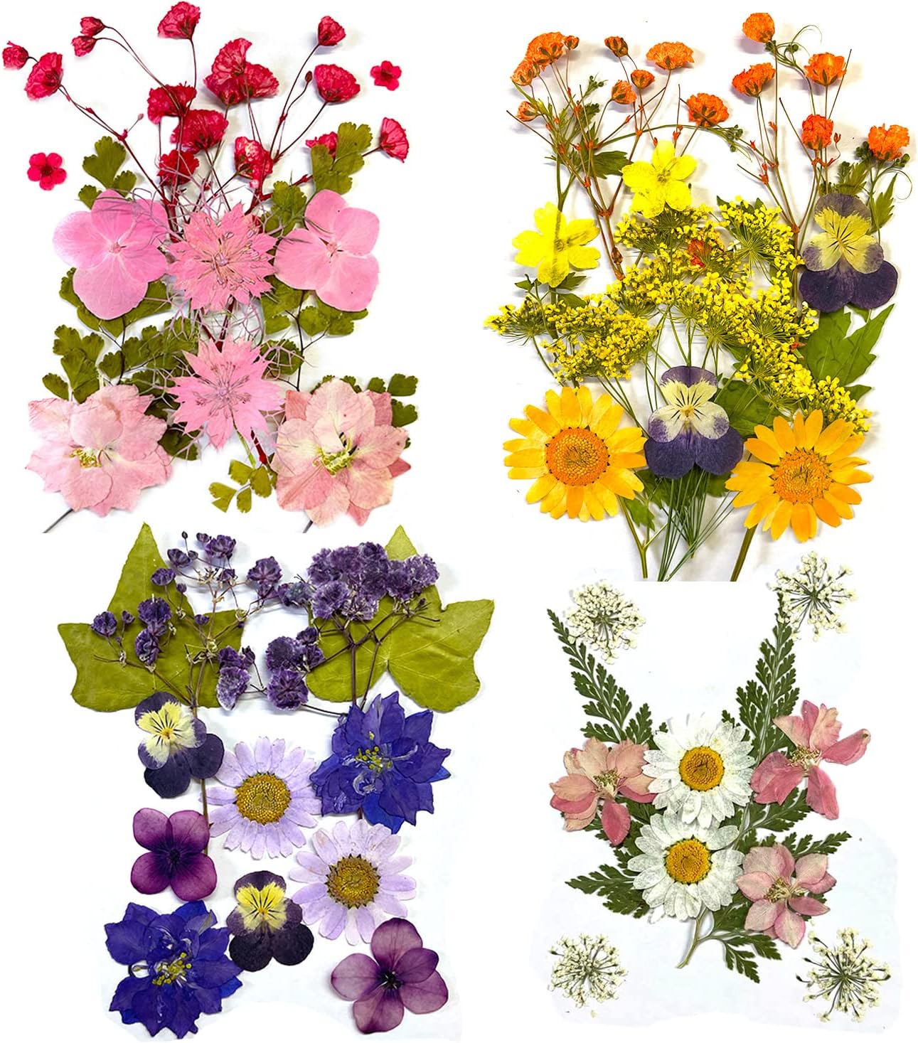 4 Packs About 60 Pcs,Pressed Dried Flowers,Real Dried Pressed Flowers