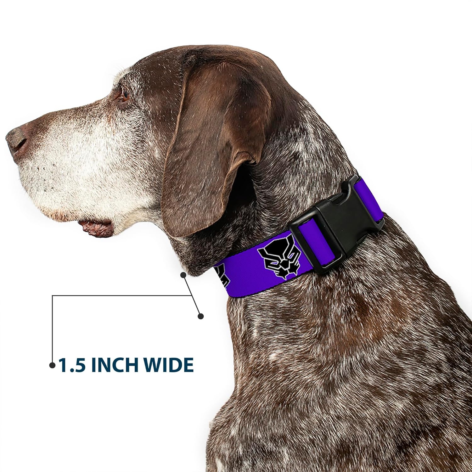 Buckle-Down Dog Collar Plastic Clip Black Panther Avengers Icon Purple White Black 16 to 23 Inches 1.5 Inch Wide
