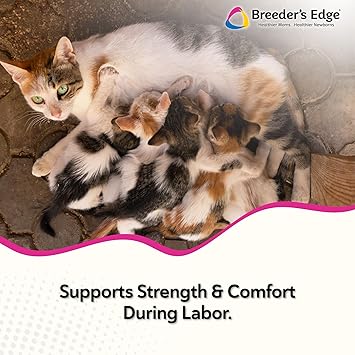 Breeder's Edge Oral Cal Plus Gel, Whelping and Queening Calcium Supplement Gel for Dogs and Cats Delivers 3 Calcium Sources in Labor to Support Strong and Normal Contractions, 15ml Paste