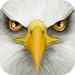 Ultimate Bird Simulator