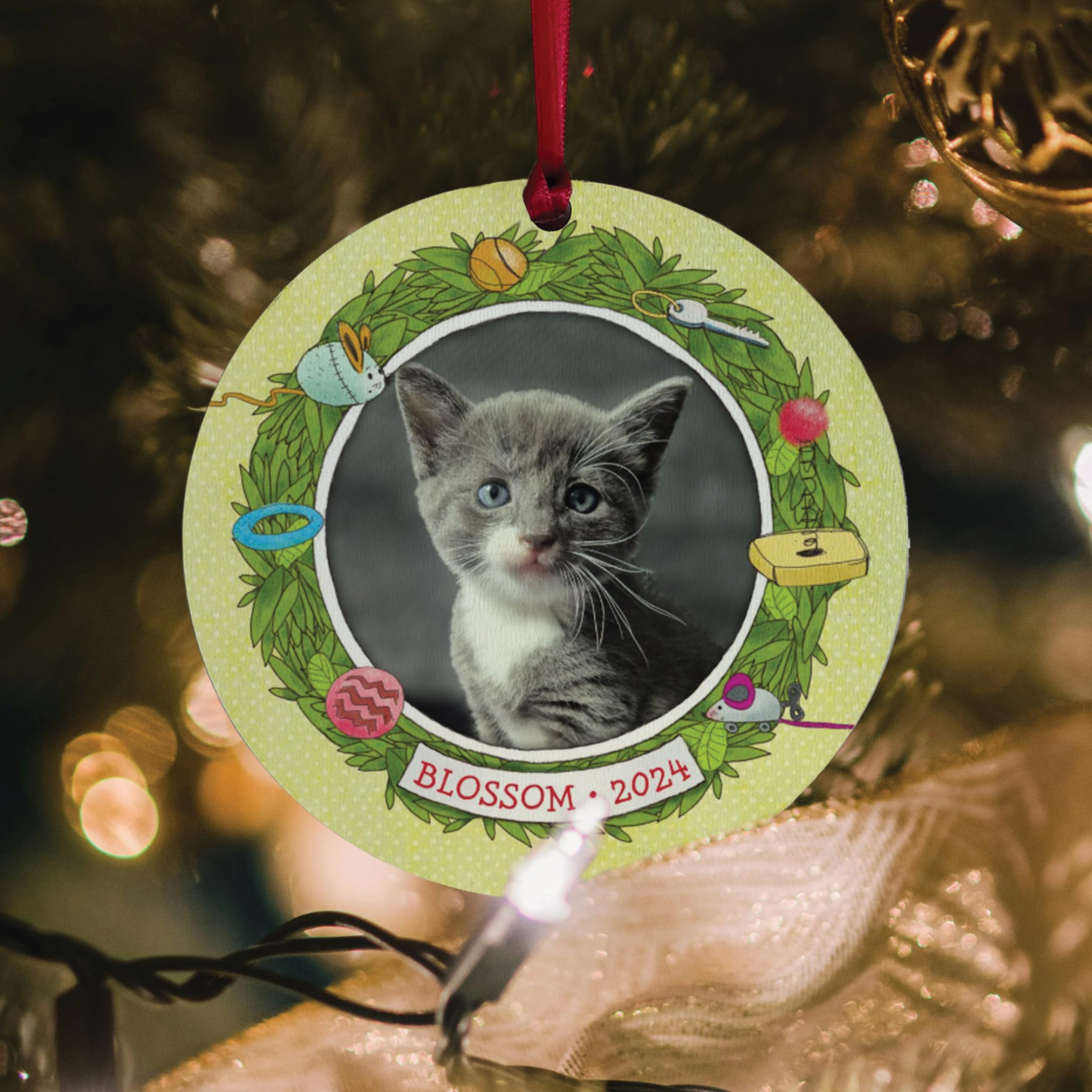 Gift Cat Christmas Ornaments Personalized Cat Ornaments I See Me