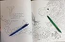 Amazon.com: Color Me Enchanted: A Coloring Book of Fairy Tales from