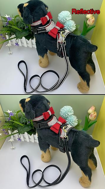 Foto 5 de 6 de Newtensina 3 Piezas Pajaritas Bling Lindo Perro arnes y Perro Collar con Correa para Perro - Rojo - M