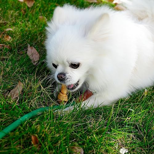 Vista 6 de MON2SUN Huesos de nudo de cuero crudo para perros, pequeños huesos de cuero crudo, mini masticables sabor a pollo de 2.5 pulgadas, 60