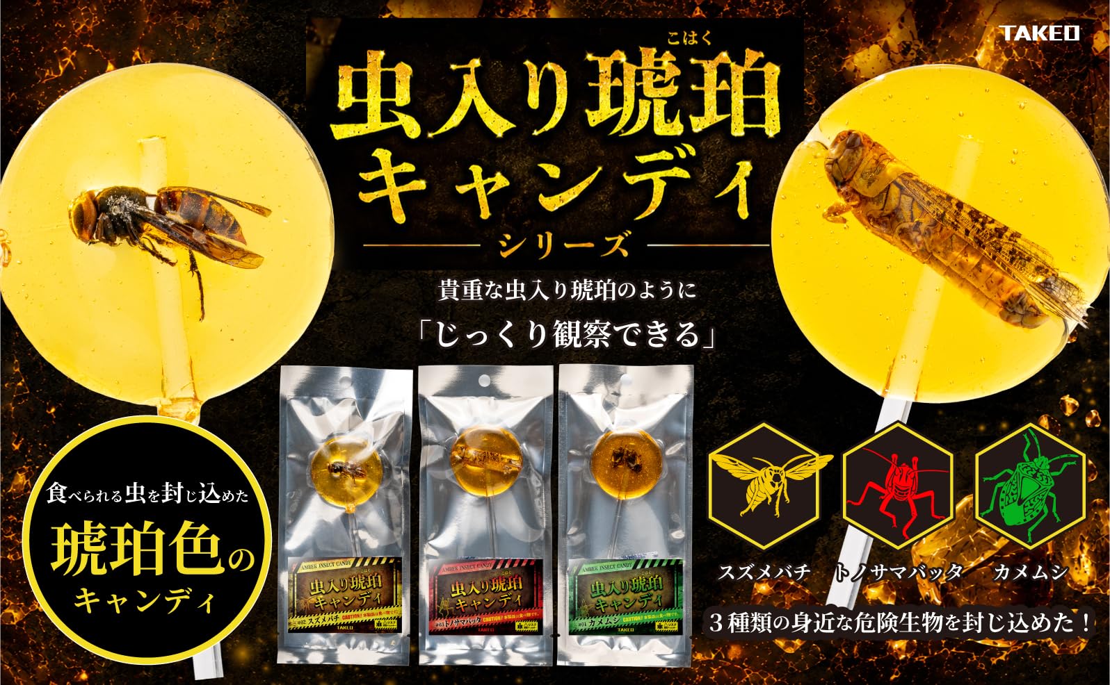 Amazon.co.jp: 昆虫食TAKEO 虫入り琥珀キャンディ スズメバチ 1本 昆虫