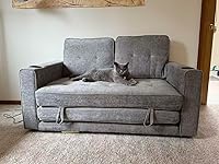 Review Image by Zixuan Gong Zixuan Gong