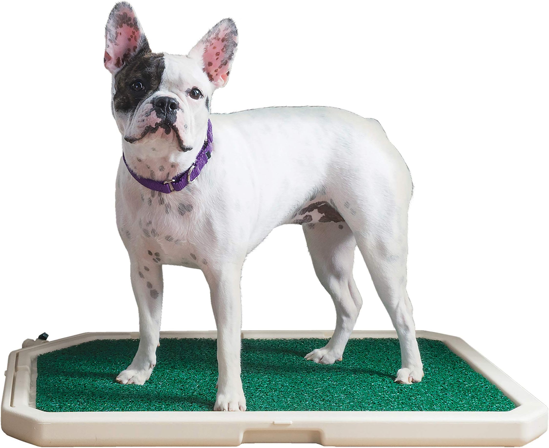 Indoor Pet Toilet Taupe