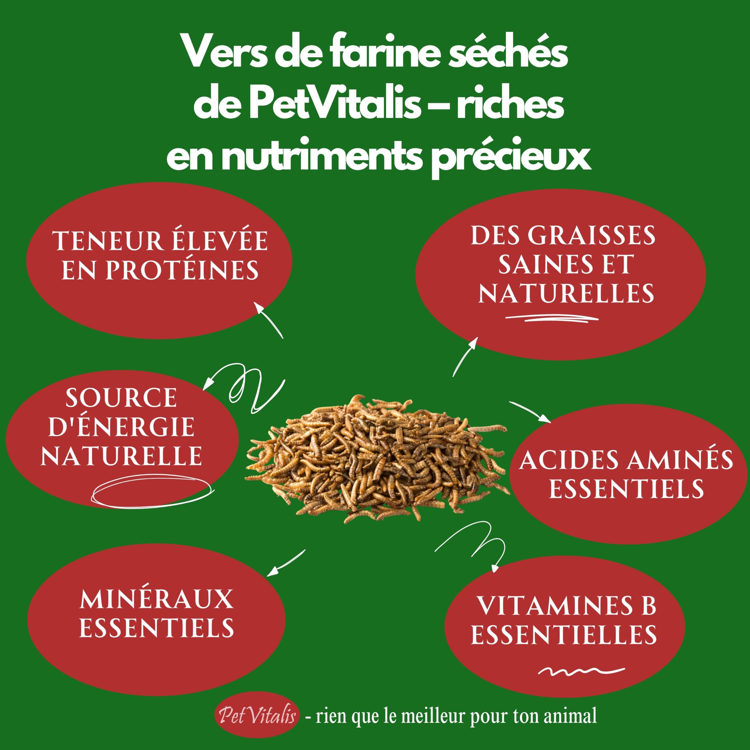 vers de Farine séchés – Aliment Complet Haut de Gamme pour Oiseaux Sauvages, complément à la Nourriture pour Oiseaux – en-Cas Riche en protéines pour Poissons, Reptiles et rongeurs (5 kg)