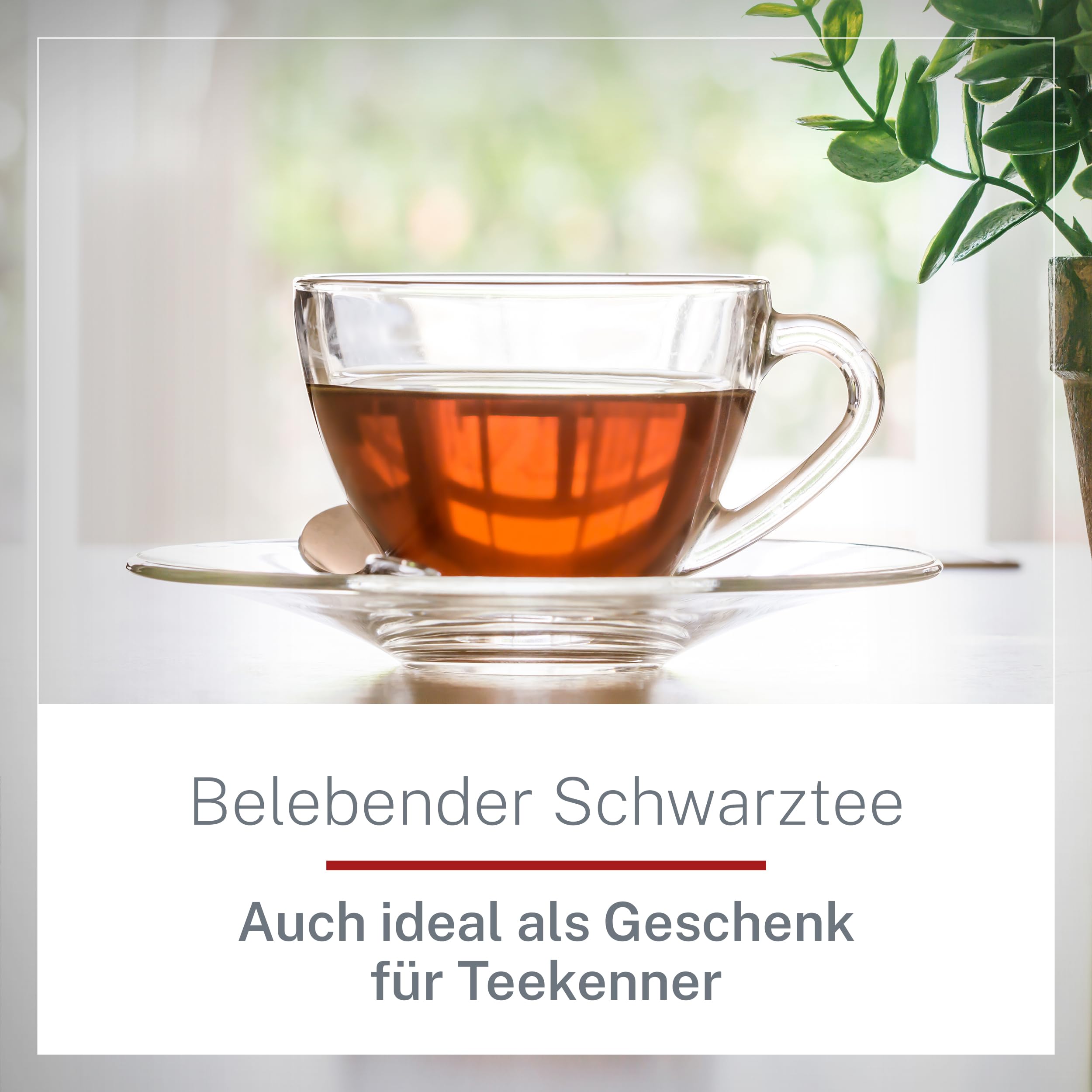 Earl Grey Tee lose 1 kg - Hochwertiger Bergamotte Schwarztee - malzig & zitronig - Schwarzer Tee lose aus ökologischem und fairem Anbau – MyCupOfTea