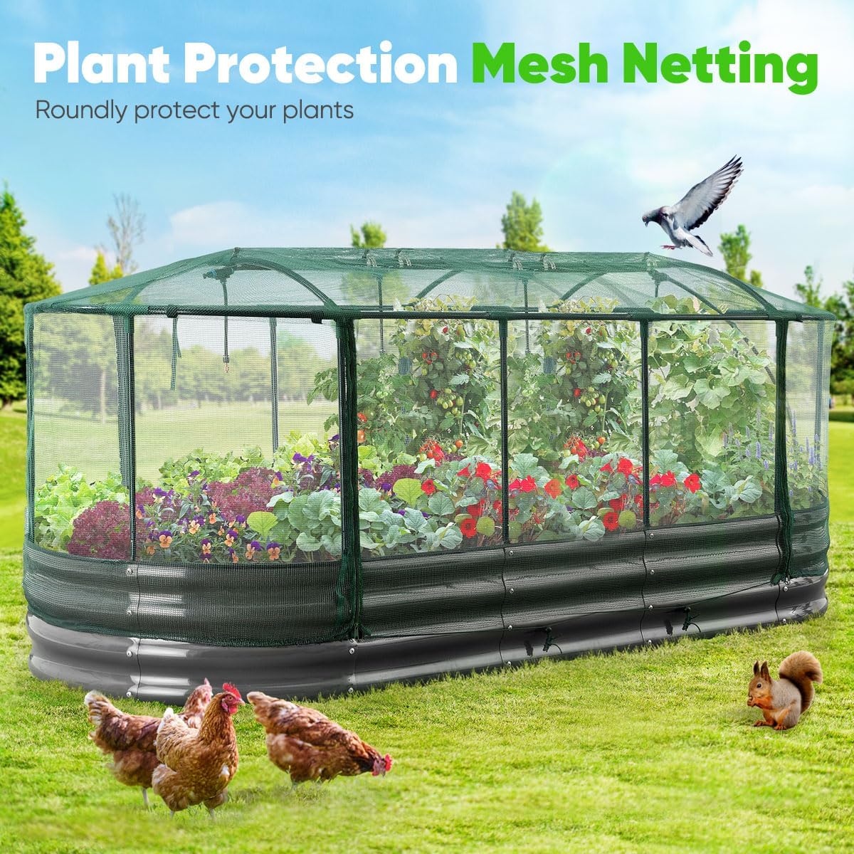 Quictent Galvanized Raised Garden Bed Kit with Self Watering System and Mesh Cover, Large Oval Metal Outdoor Planter Garden Boxes for Vegetables Herbs Flowers, 8x3x1Ft 8x3x1 FT Self Watering System and Mesh Cover