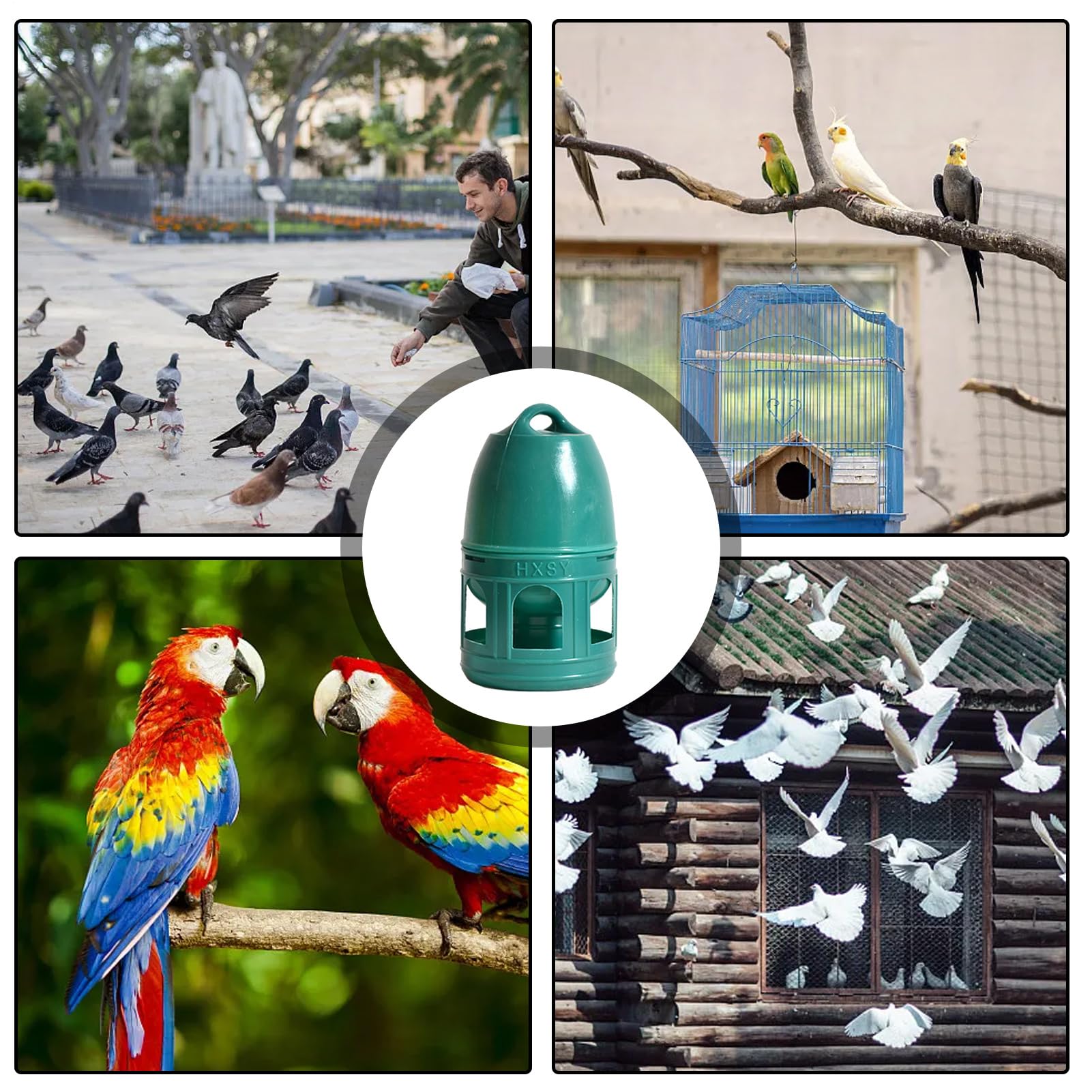 Distributeur d'eau pour Pigeons, Abreuvoir pour Pigeons | Distributeur de mangeoire à Oiseaux pour récipient à Eau pour - Poignée supérieure, Large Ouverture, Fournitures pour Animaux