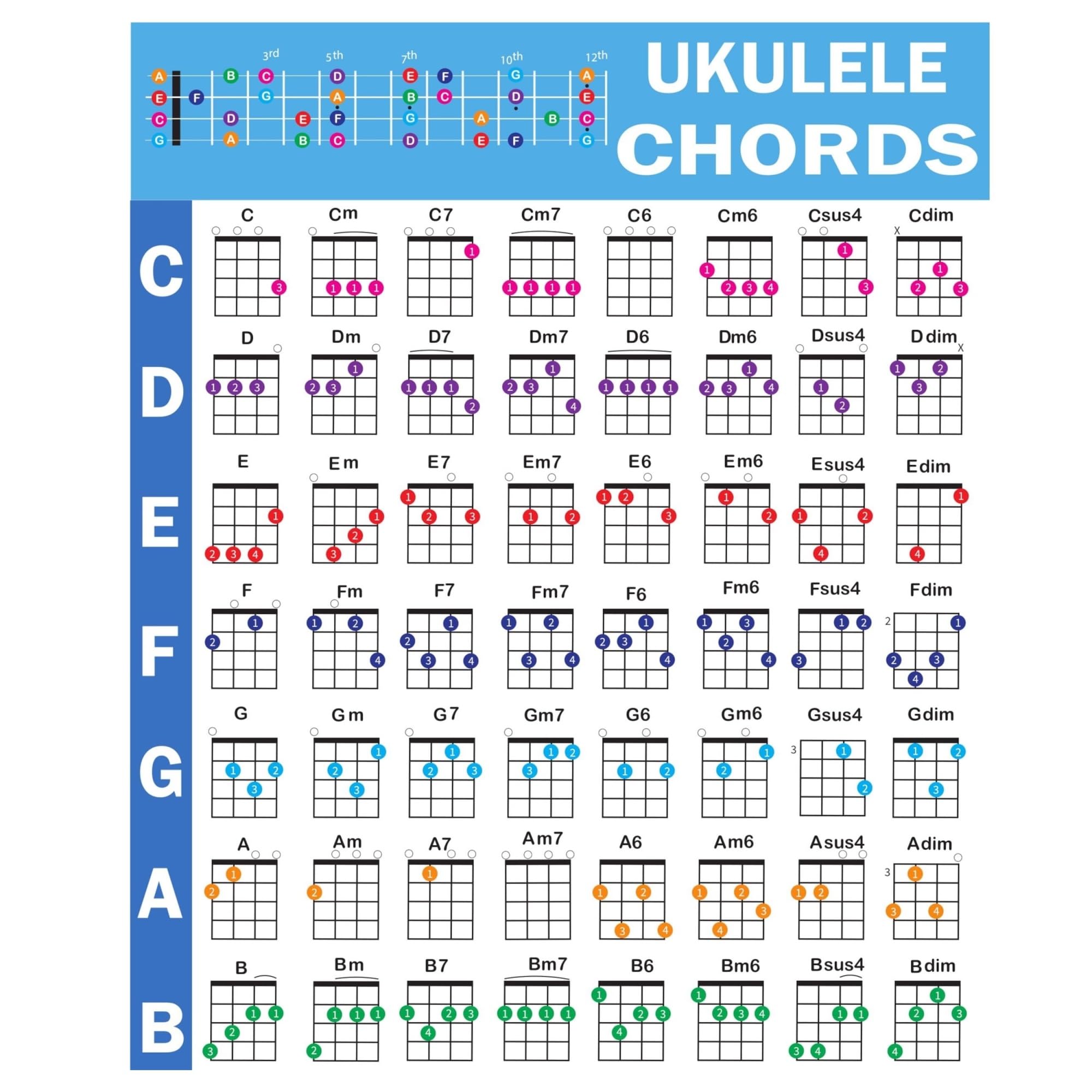 KCDFDVJFBM Ukulele Chords Poster Complete Chart for Beginners and Teachers Essential Reference Guide(Unframed,16x24inch(40x60cm))