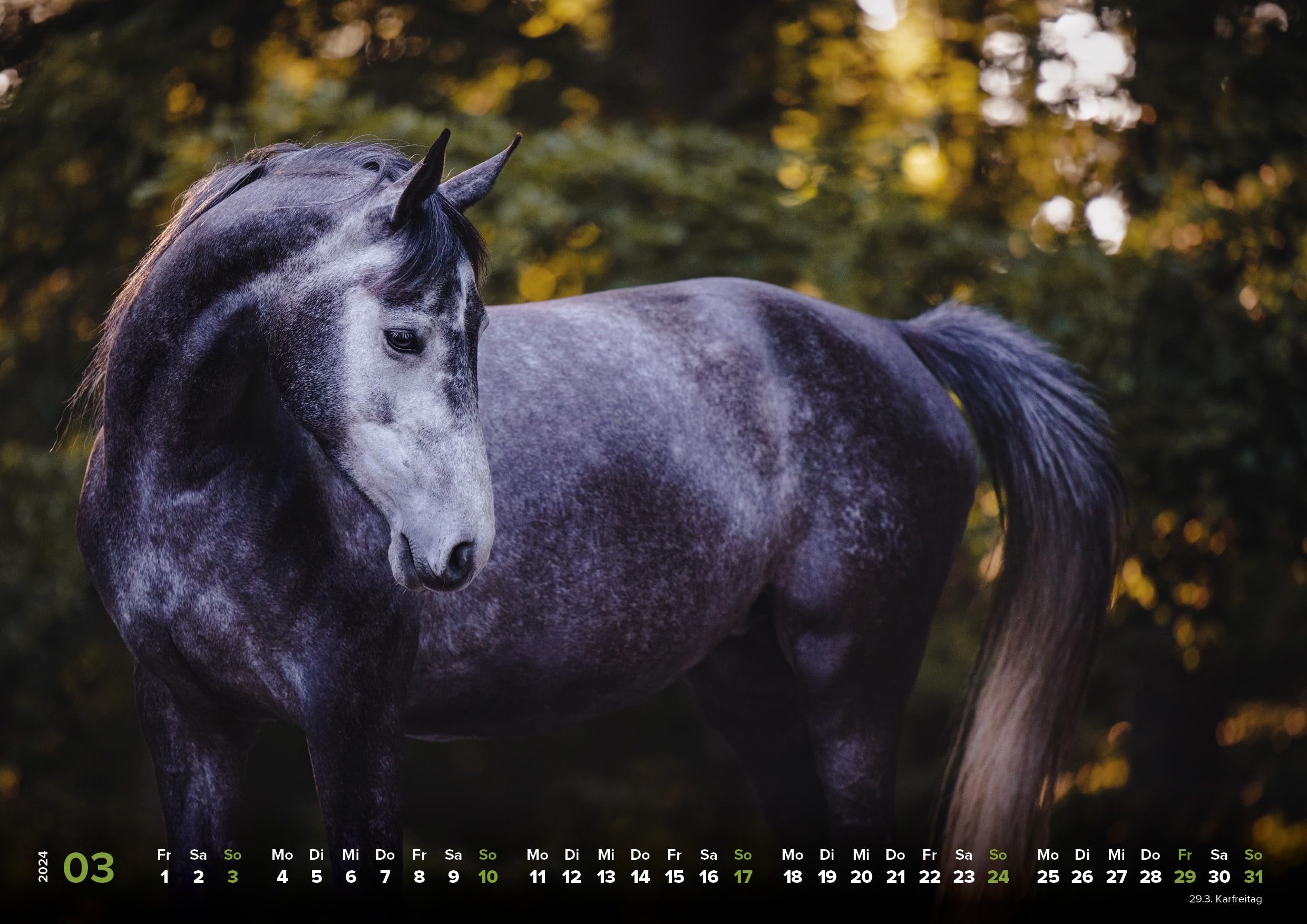 Pferde Kalender 2024 Pferdeglück! Die schönsten Pferdemotive und Aufnahmen 2024: Hochwertiger Wandkalender DIN A3 quer/Kalender/Tierkalender/Pferdekalender - Image 4