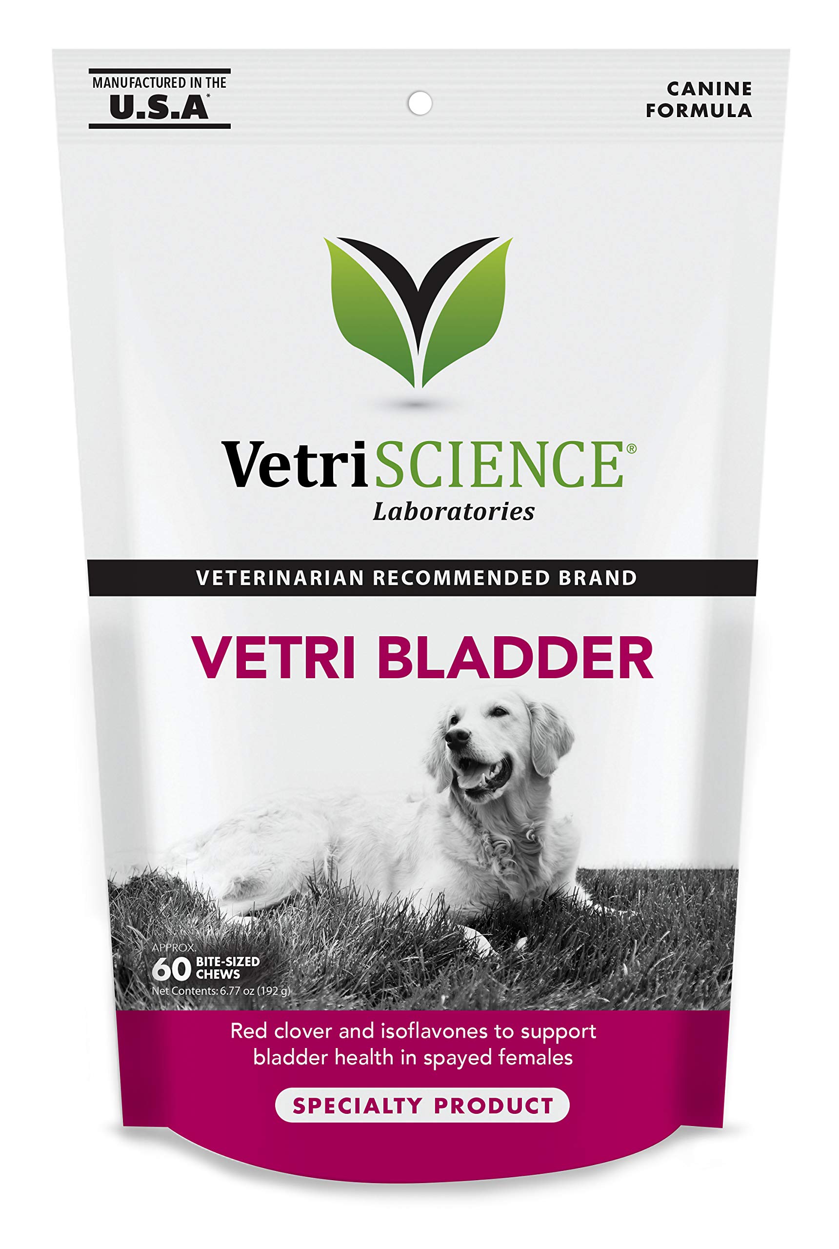 clover dog pet supply