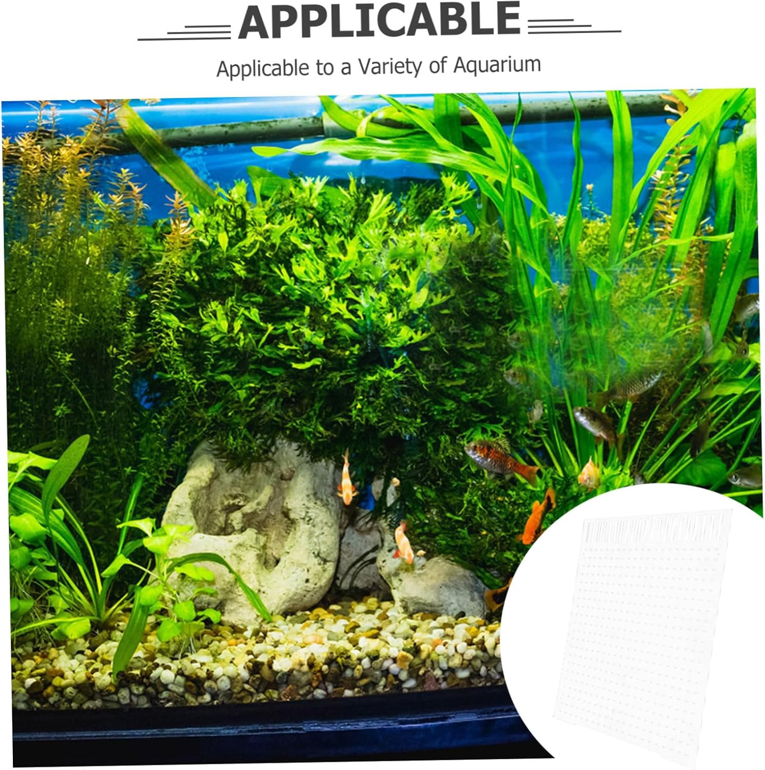 balacoo Fish Tank Supply Acrylic Isolation Board Aquarium Divider Suction Cup Non-afficient Material