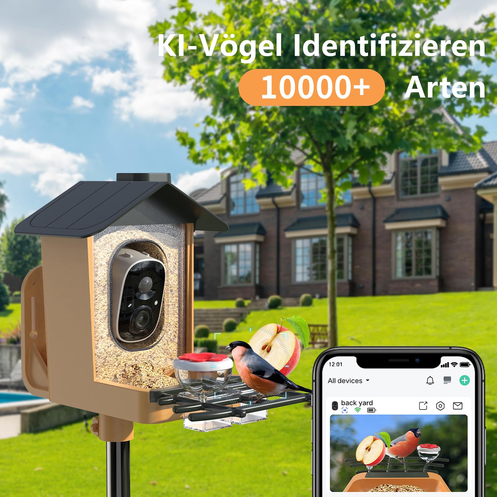 Vogelfutterhaus mit Kamera 2K HD Vollfarbe Nachtsicht KI Vogelerkennung Sofortiger Benachrichtigung Automatisch Aufnahme von Vogelvideos, Vogelhaus mit Kamera Solarbetrieben