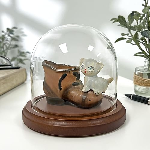 Miniatura 4 de Plymor Cúpula de cristal de 4" x 4" (base de chapa de roble)