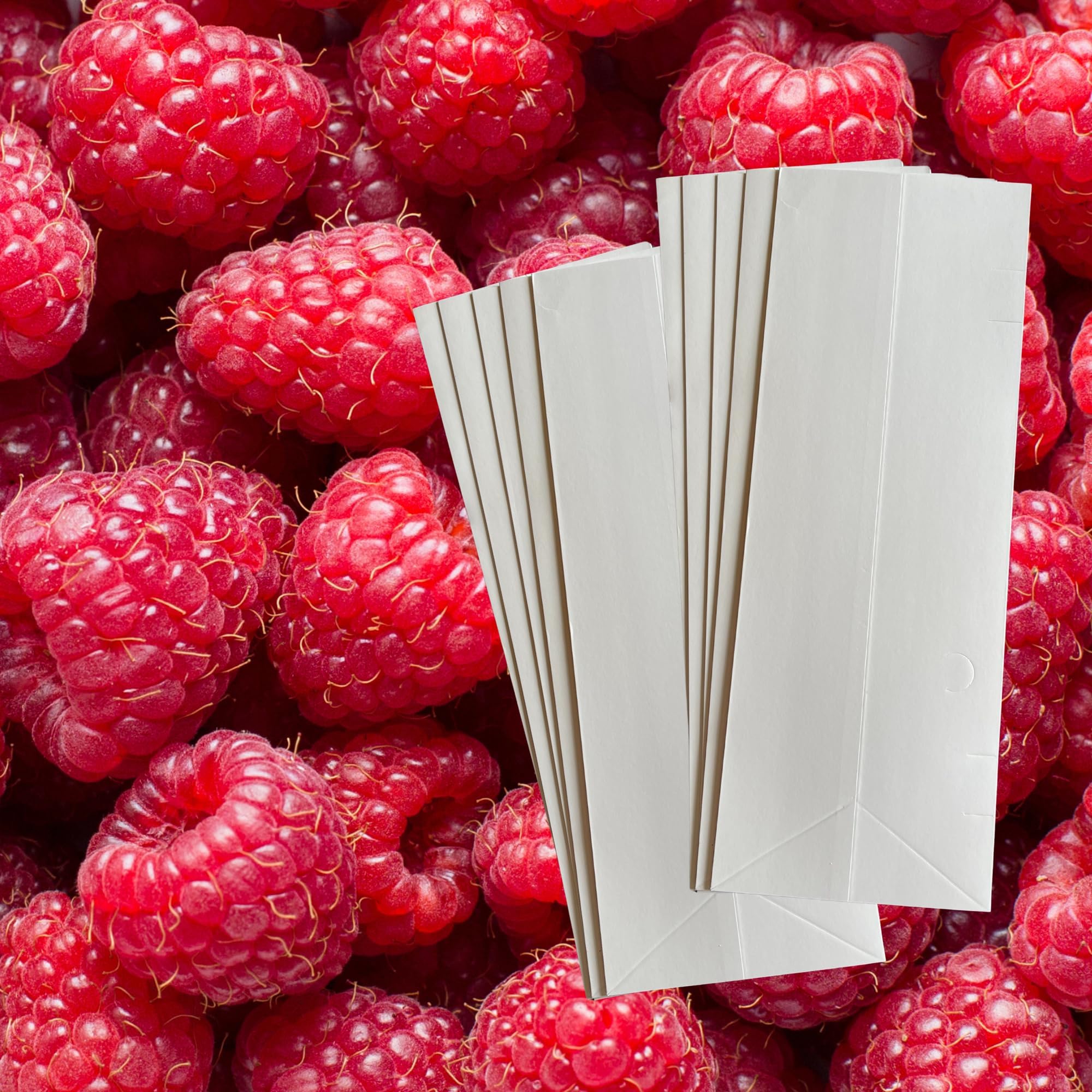 Heritage Raspberry Plants - Raspberry Supports Included! - Bare Root Raspberry Plants from Hand Picked Nursery (1)