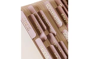 Women's Study Bible NIV, Large Print with Tabs: Comprehensive Study Tools and...