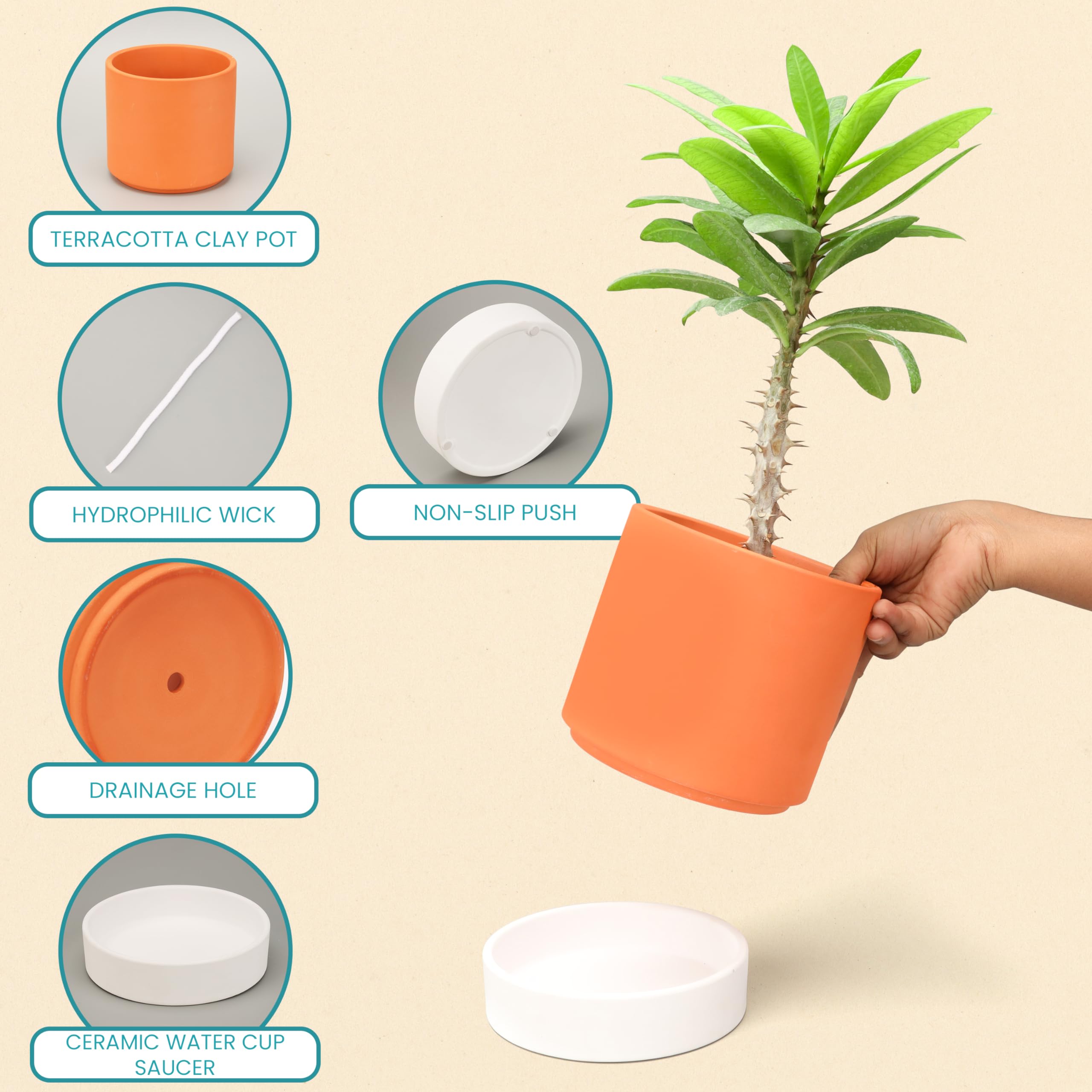 Belle Vous Pack Of 60 Coloured Tissue Paper For Packaging, 35 X 50 Cm, Acid-free Striped Colourful Paper For Crafts, Decoupage, Scrapbooking, Gifts, Gift Bags & Flowers Paper Packaging