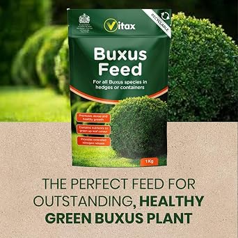 Vitax Buxus Feed Fertiliser & Plant Food – Liquid 1L & Granular 1kg for Promotes Strong Healthy Growth Prevents Disease ideal for Pots Hedges & Trees