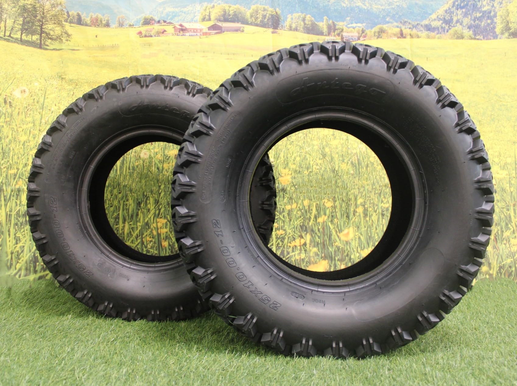 Amazon.com: Antego 25x10.00-12 ATW-045 ATV/UTV Tire Only, 6 Ply