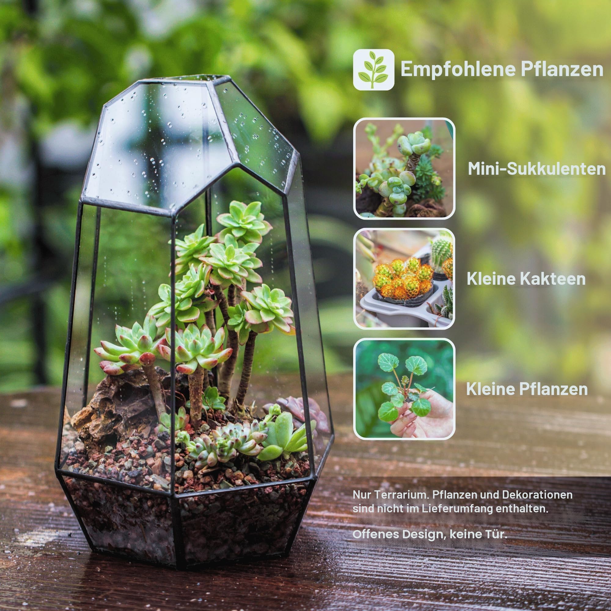 NCYP 16,5x16,5x25cm Glas Geometrisches Terrarium Keine Tür, unregelmäßiges Prisma,25 cm hoch Blumentopf für Sukkulenten, Farn (Ohne Pflanzen)