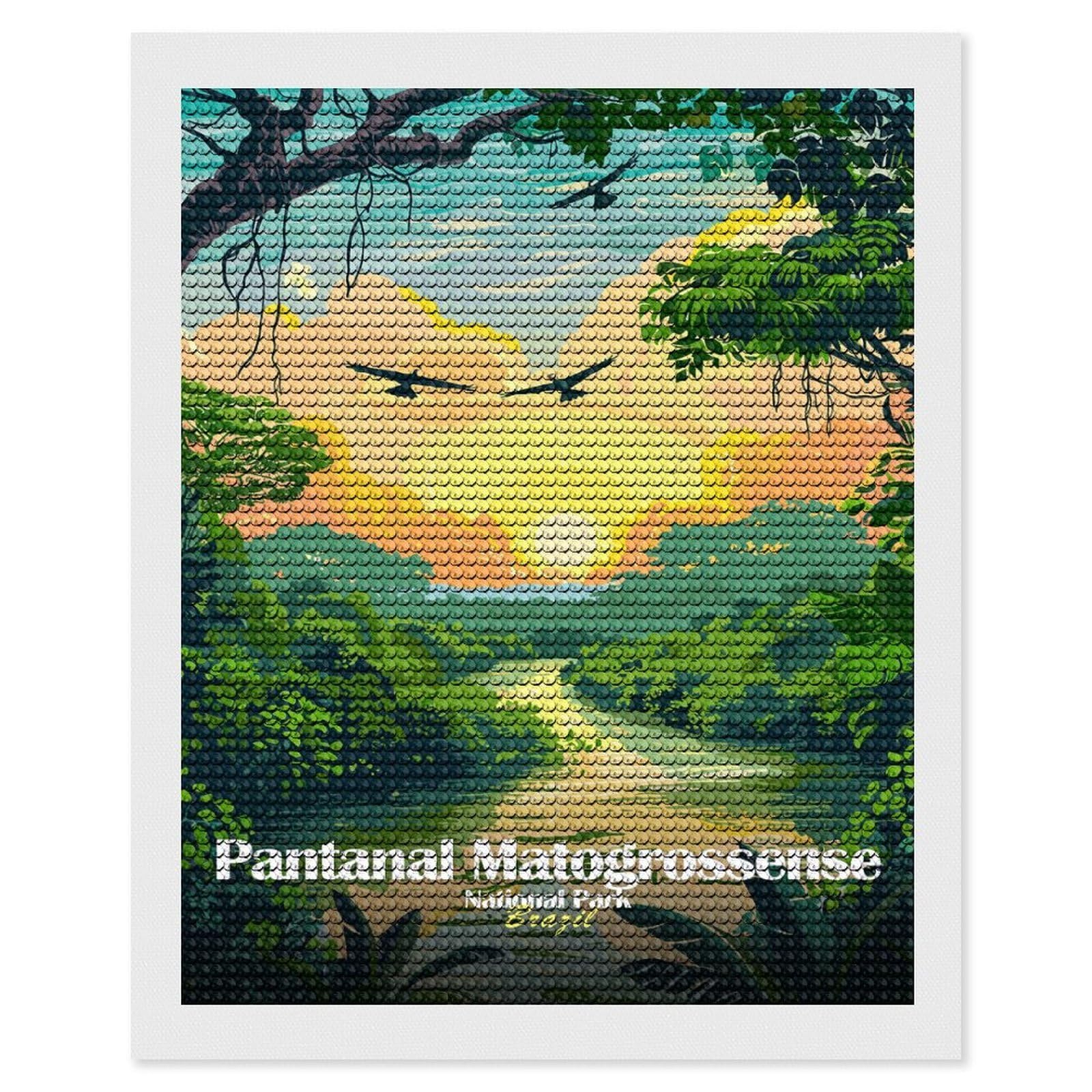 Junmoney Pantanal Matogrossense National Park, Brazil Round Drill Diamond Painting 16"x20", for Adults, Creative Leisure Activity, Office Decor, Holiday Gift Idea