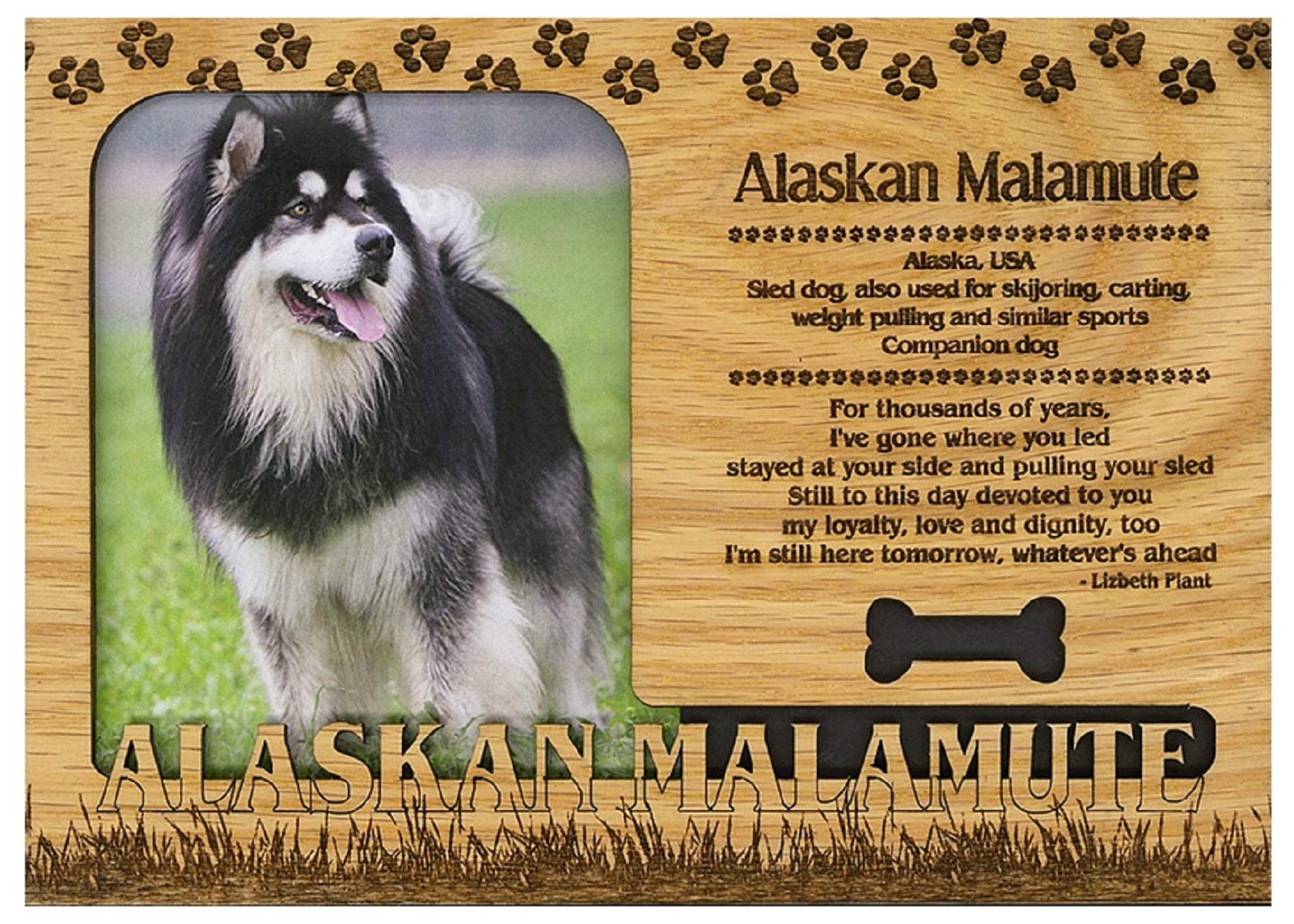 Alaskan Malamute Engraved Wood Picture Frame Magnet