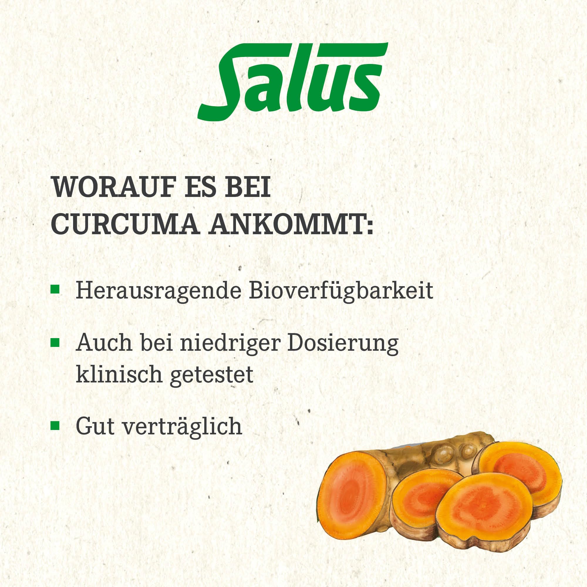 Salus Curcumin 202 Bioaktiv Tonikum – herausragende Bioverfügbarkeit: bis zu 202x bessere Curcumin-Aufnahme – ohne synthetische Polysorbate oder Piperin – mit Vitamin D3 – 250 ml