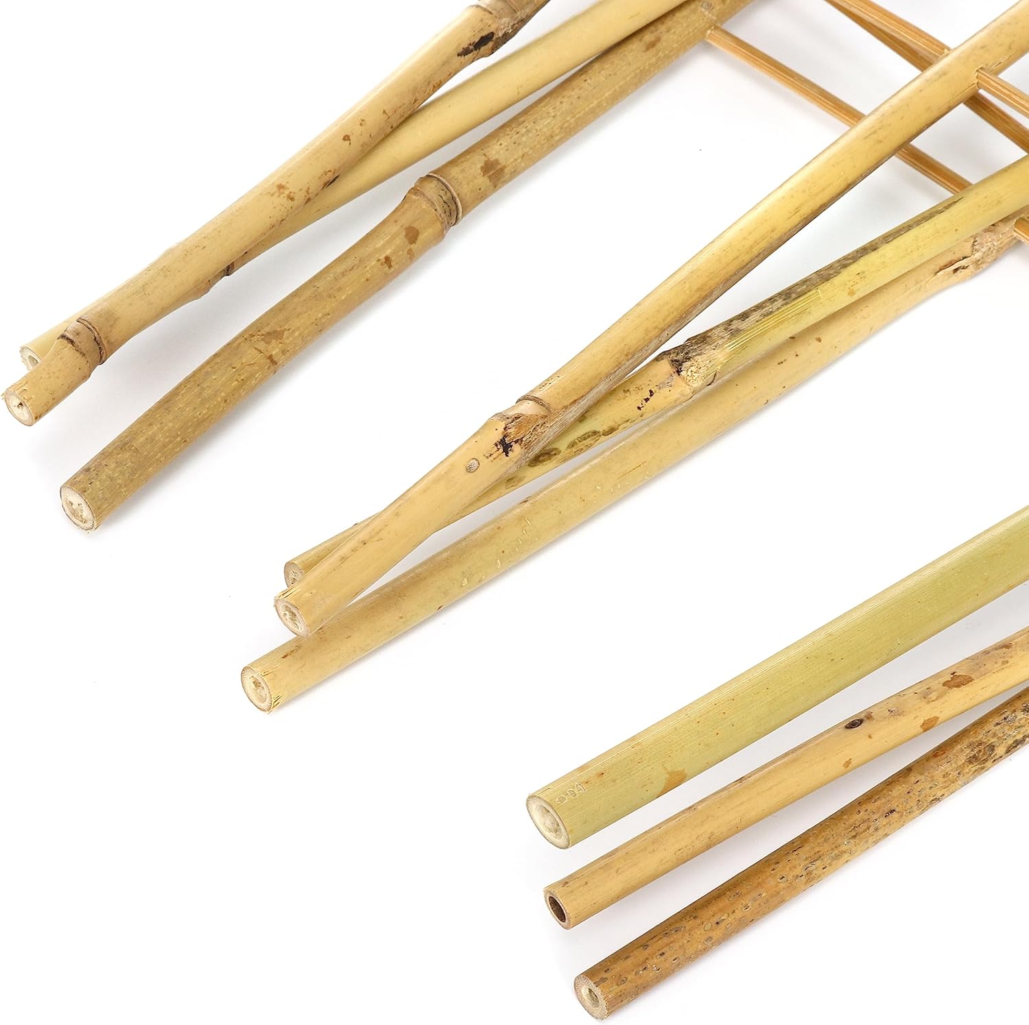 SWANGSA 5 Pack 3Ft Bamboo Trellis for Climbing Plants Support, Fan-Shaped Ladder Trellis for Outdoor and Indoor Potted Plants Cucumber Garden Stakes