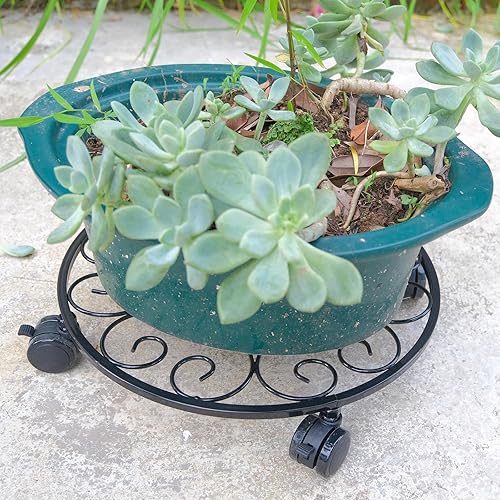 Miniatura 7 de Paquete de 6 soportes de metal para plantas con ruedas de 12 pulgadas con ruedas, soporte de hierro forjado resistente, rodillos para plantas,