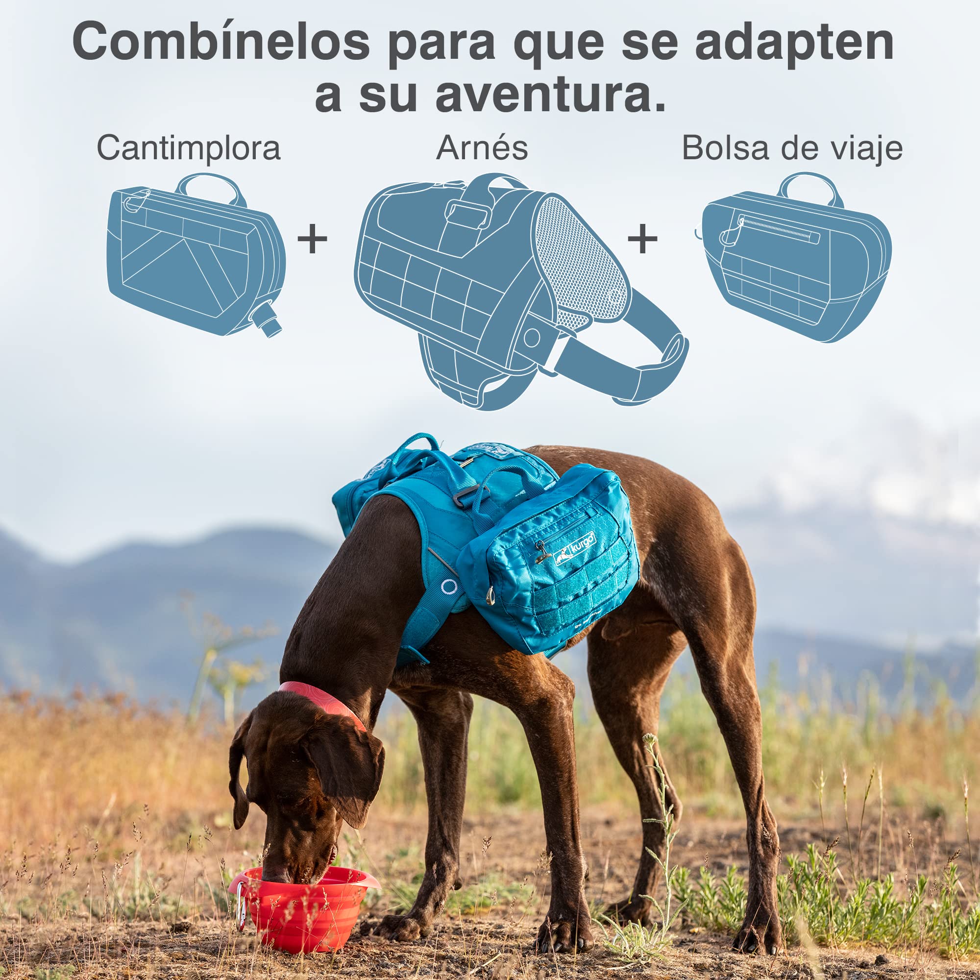 Kurgo RSG Townie Arnés, L, Negro | Fácil de Poner y Quitar, Malla Transpirable, Compatible con MOLLE, Asa Superior