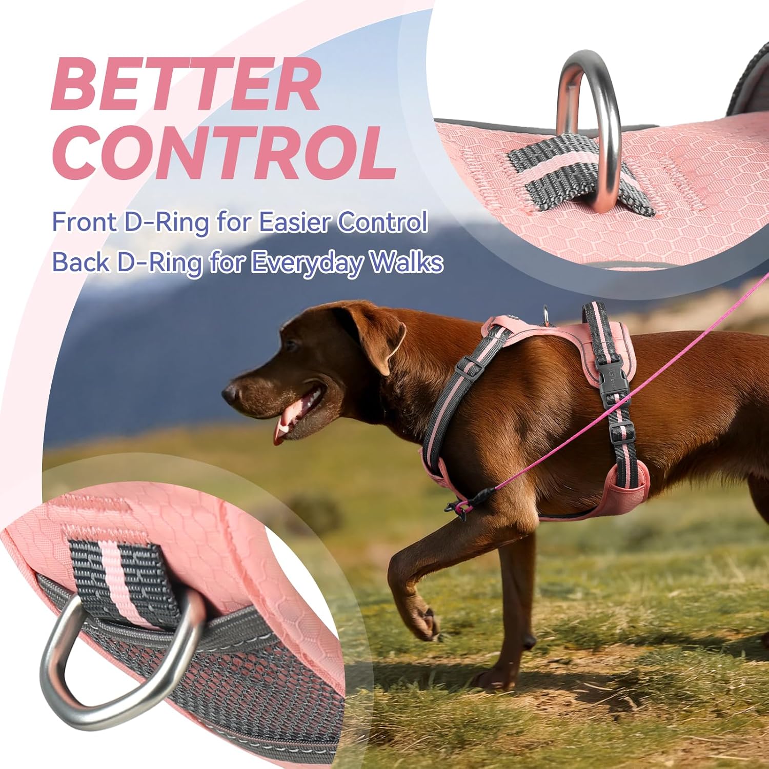 VIVAGLORY Dog Harness Easewalk No Pull Dog Harness with Handle Front Clip & Back Clip for Training Walking Lifting, No Pull Adjustable Easy On Padded Comfortable for Pet, XL, Sakura Pink - Patterned