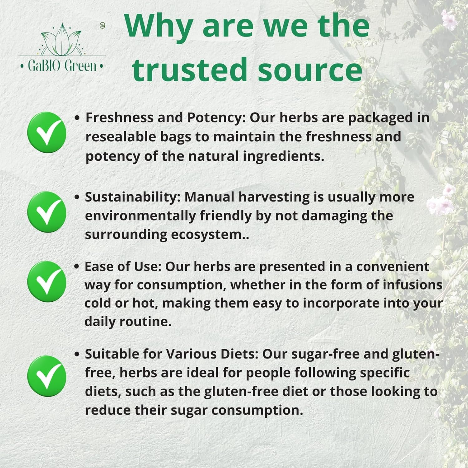 Gabio Green- Whole Soursop leaves (+1/2 Pound /8.1 oz) 670 + leaves aprox, Big Bag, Hojas de guanabana, tea Soursop, Dried Herbs,. (8.1 oz) 670 + leaves aprox.