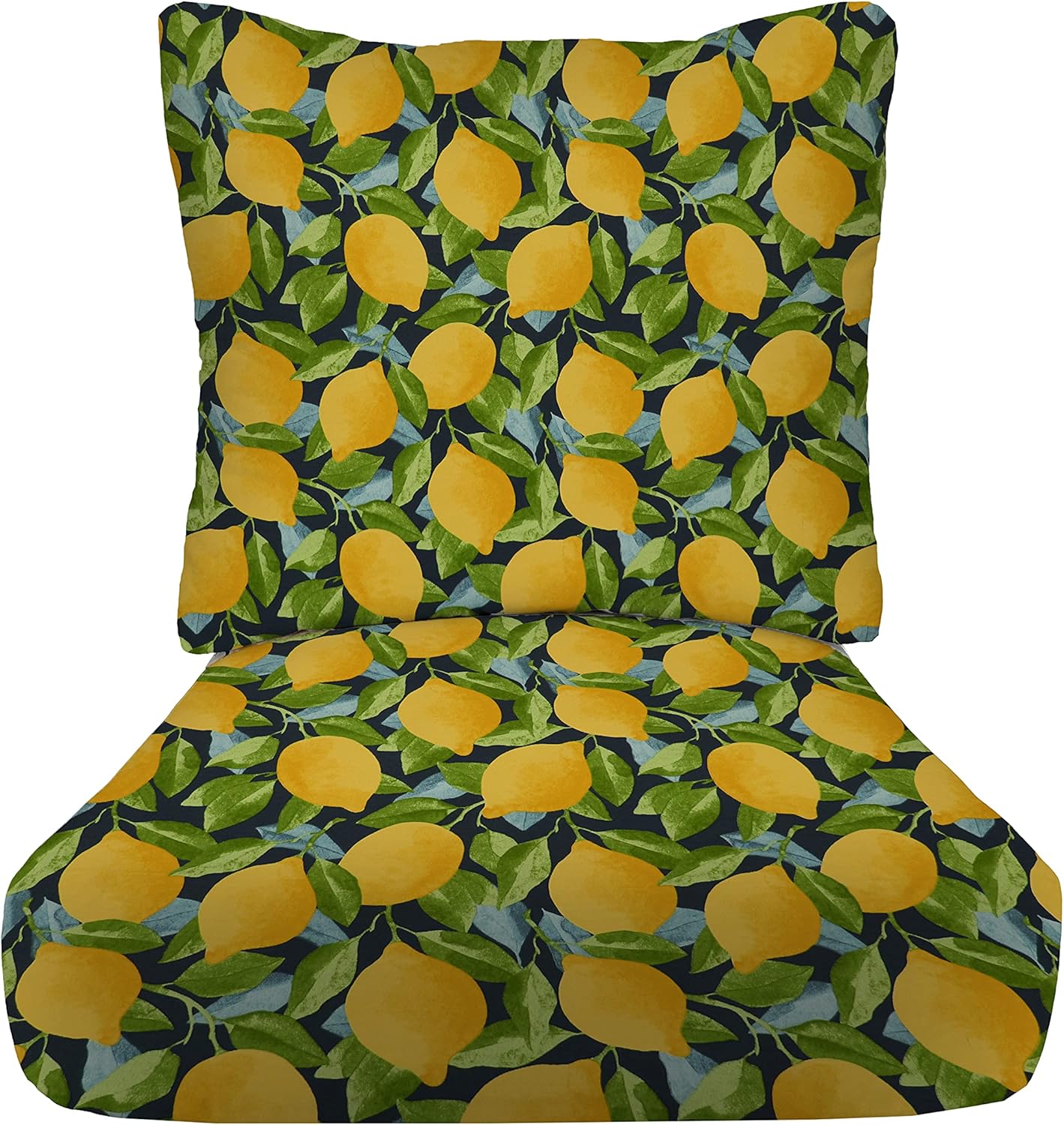 RSH DECOR: Deep Seating Cushion with Pillow Back | 23” x 26” Seat | All-Weather Spun Fabric | Water and Fade-Resistant | Outdoor Chair Cushion Set for Patio Furniture | Citrus Sapphire